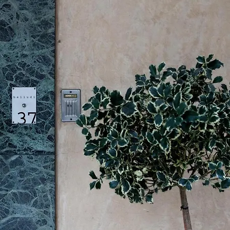 Belludi 37 Hotel